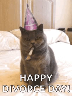 Cat in Party Hat Blowing Horn