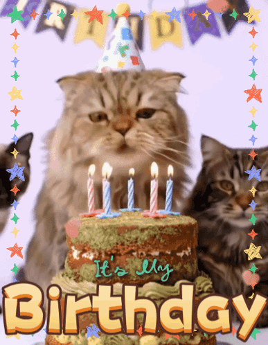 Cat in Party Hat Next to Birthday Cake