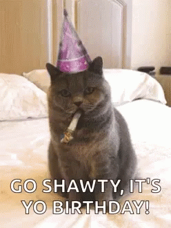 Cat in Party Hat Smoking Says Go Shawty Its Yo Birthday