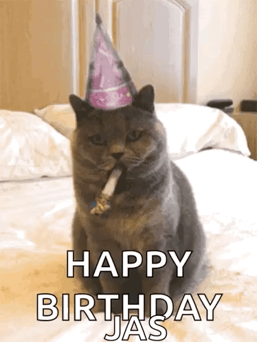 Cat In Party Hat With Cigarette Saying Happy Birthday Jas GIF
