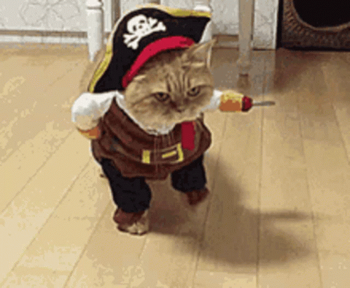 Cat in Pirate Costume Holding Screwdriver