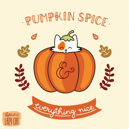Cat in Pumpkin Saying Pumpkin Spice Everything Nice