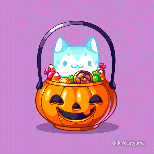 Cat in Pumpkin With Halloween Candy