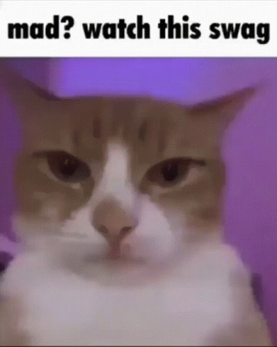 Cat in Purple Hat Looking with Mad Watch This Swag