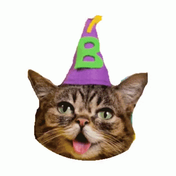 Cat In Purple Party Hat With Green B GIF