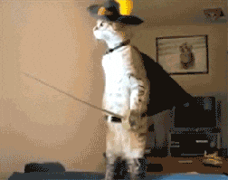 Cat In Puss In Boots Costume GIF