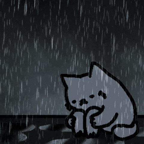 Cat in Rain Drawing