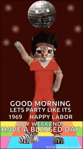 Cat In Red Dress Dancing GIF
