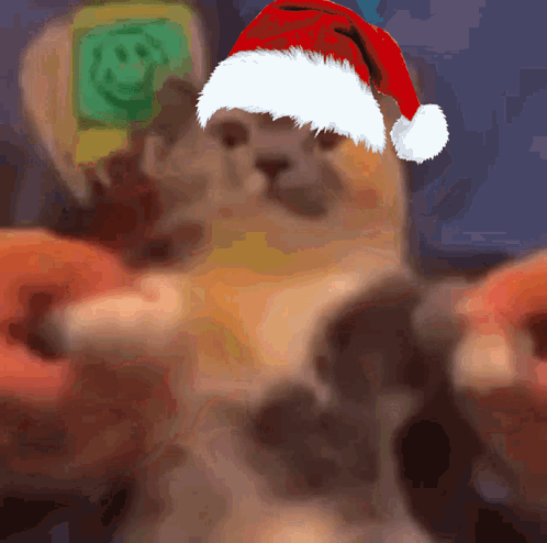 Cat in Santa Hat Taking Selfie