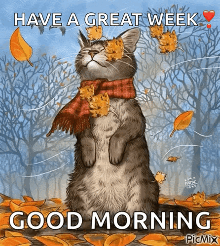 Cat in Scarf and Leaves Saying Have a Great Week Good Morning