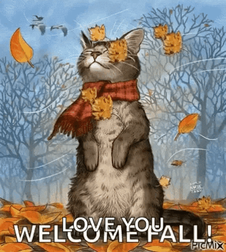 Cat In Scarf Autumn Leaves Welcome You Fall GIF