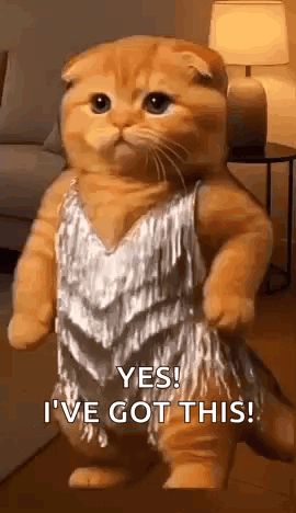Cat in Silver Dress: Yes I've Got This