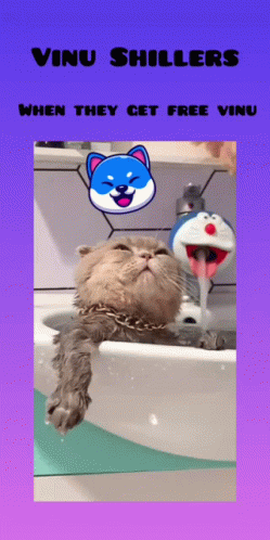 Cat In Sink Vinu Shillers When They Get Free Vinu GIF