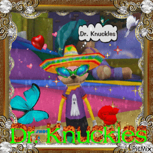 Cat in Sombrero and Sunglasses Dr. Knuckles