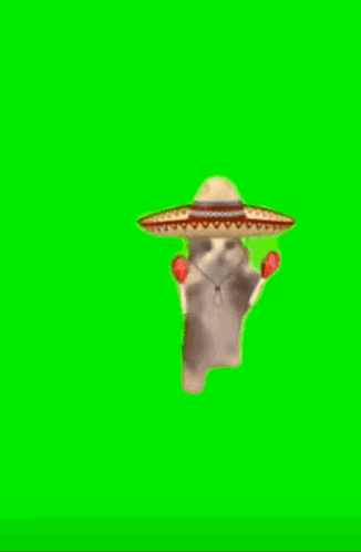 Cat in Sombrero Holding Maracas