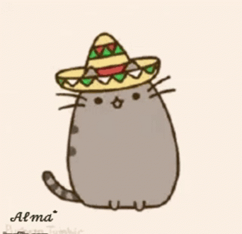 Cat in Sombrero Viva Mexicol