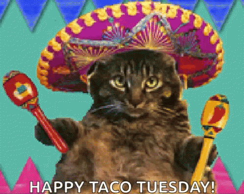 Cat in Sombrero with Maracas Says Happy Taco Tuesday