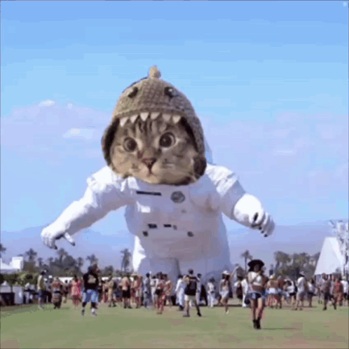 Cat In Space Suit And Shark Hat GIF