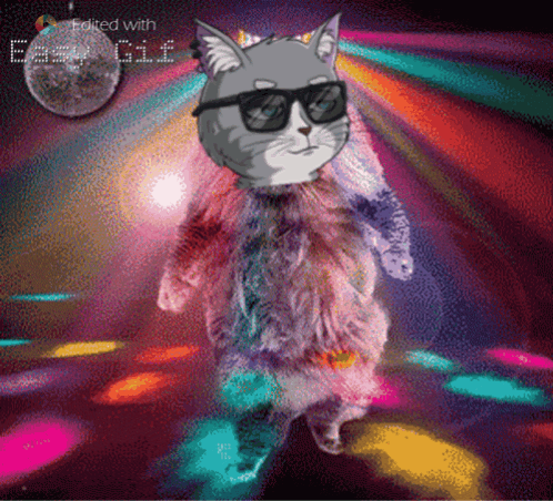 Cat in Sunglasses and Fur Coat Dancing