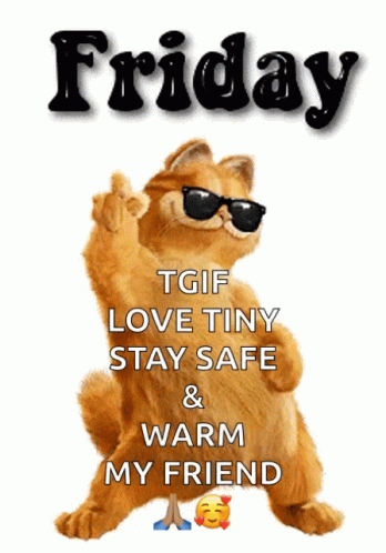 Cat in Sunglasses Friday TGIF