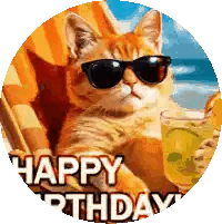 Cat in Sunglasses Holding Orange Juice Happy Birthday