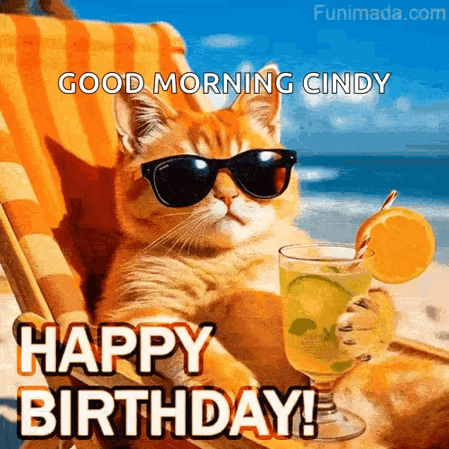 Cat In Sunglasses On Beach Chair With Drink And Orange GIF