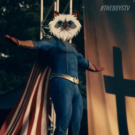 Cat In Superhero Costume In Front Of Banner GIF