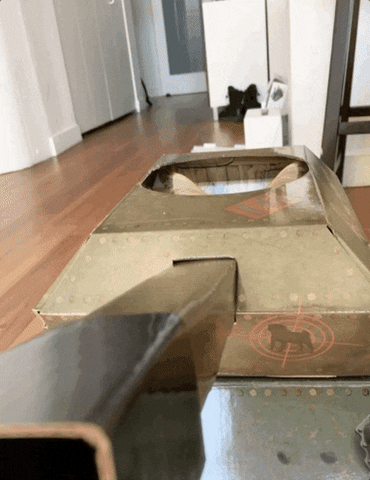 Cat In Tank Costume GIF