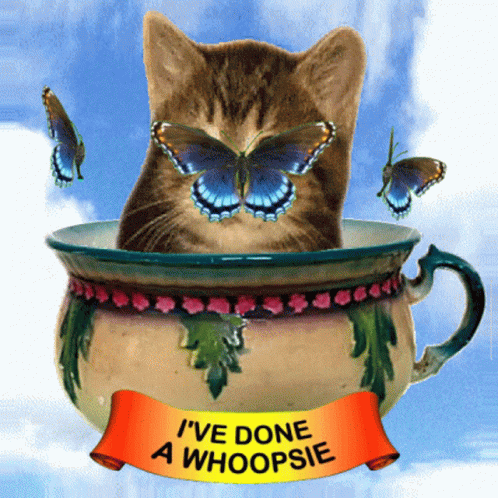 Cat in Teacup With Butterflies and Whoopsie Banner