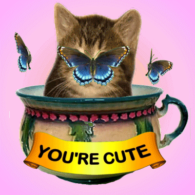 Cat in Teacup with Butterfly and 'You're Cute' Banner