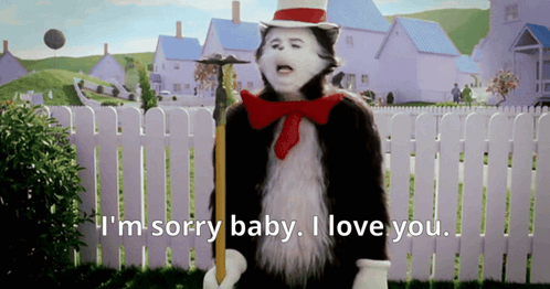 Cat In The Hat I'm Sorry Baby I Love You