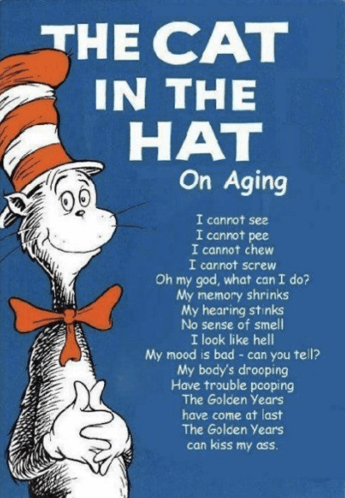 Cat In The Hat On Aging GIF
