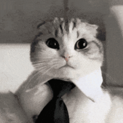 Cat in Tie and White Shirt