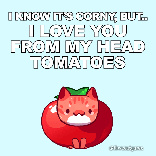 Cat in Tomato Corny Love From Head Tomatoes
