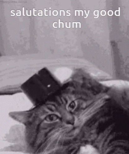 Cat in Top Hat Salutations My Good Chum