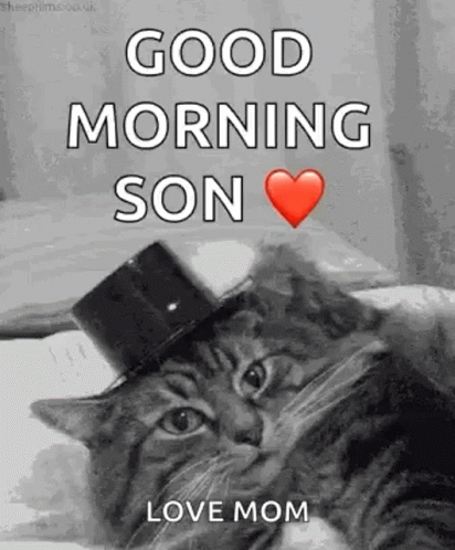 Cat In Top Hat Saying Good Morning GIF