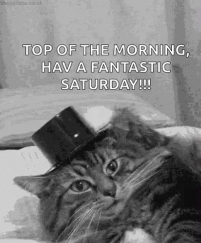 Cat in Top Hat Saying Top of the Morning