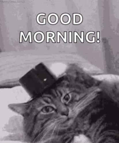 Cat in Top Hat Says Good Morning