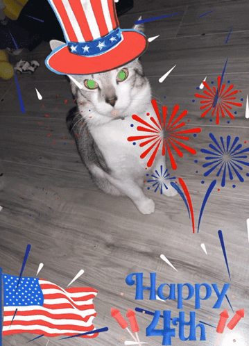 Cat in Uncle Sam Hat with Fireworks Happy 4th