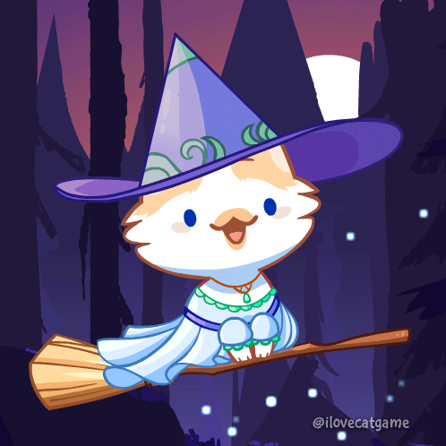 Cat In Witch Hat Flying Broom GIF