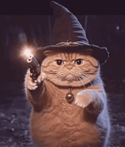 Cat in Witch Hat Pointing Gun