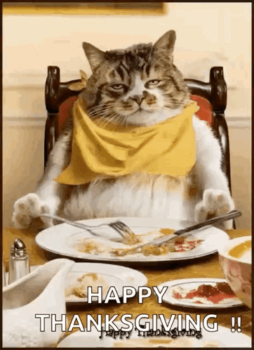 Cat in Yellow Scarf with Food and Fork