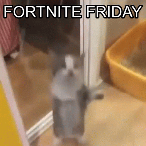 Cat Jumping Behind Glass Door Fortnite Friday GIF