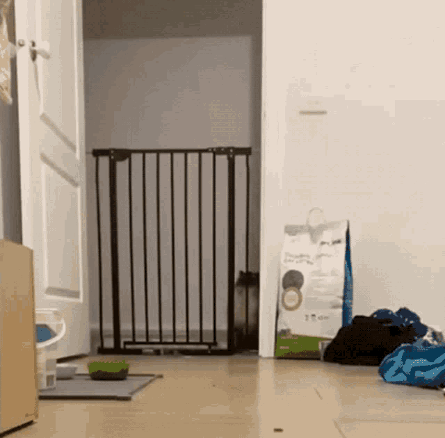 Cat Jumping In From A Fence GIF