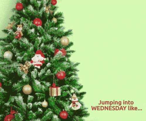 Cat Jumping Into Christmas Wednesday GIF