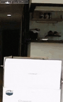 Cat Jumping Never Ending Loop GIF