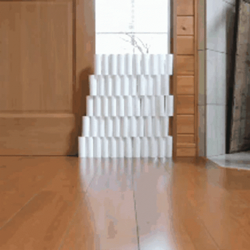 Cat Jumping Obstacle GIF