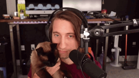 Cat Kiss Gavin Stream GIF