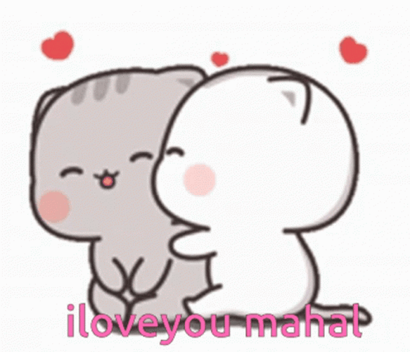 Cat Kisses I Love You Mahal GIF