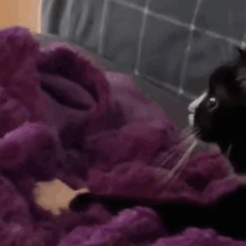 Cat Knead Purple Blanket GIF